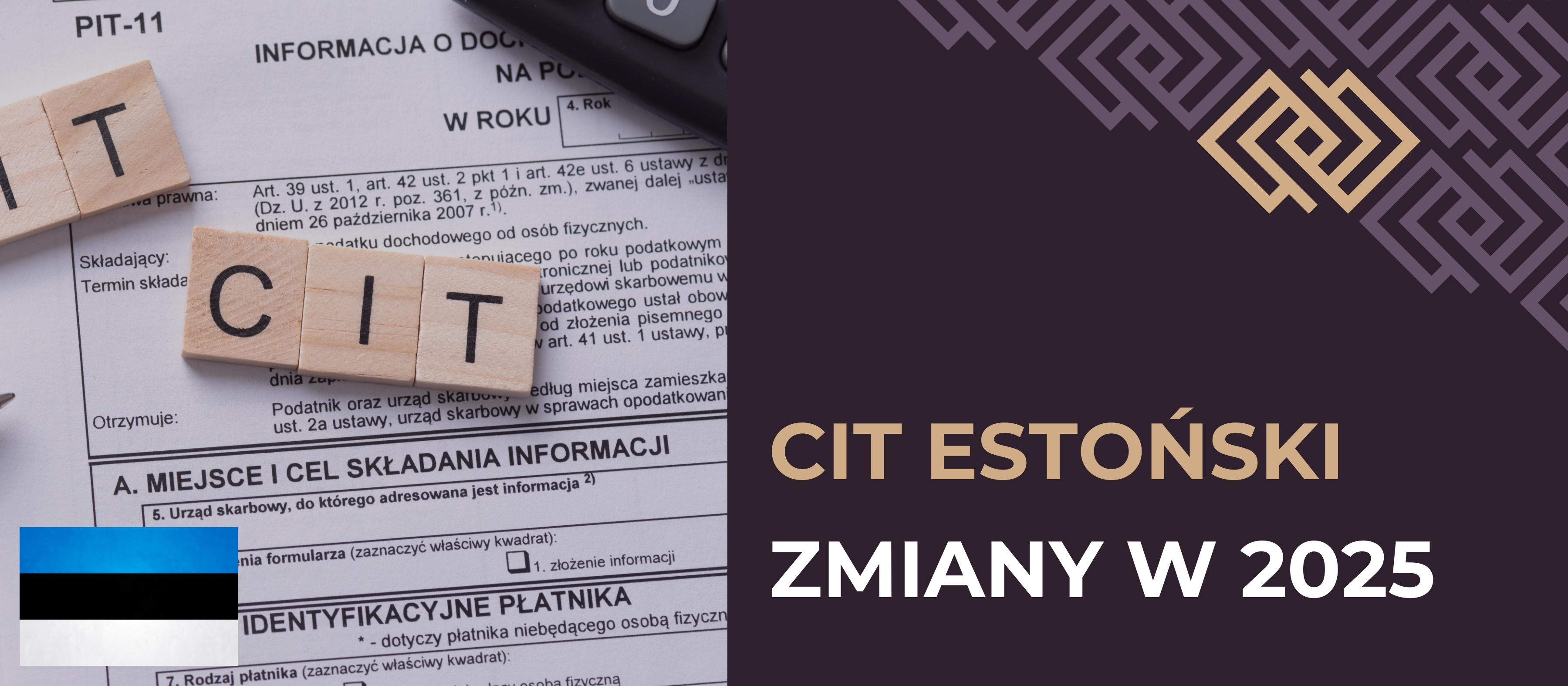 CIT Estoński w 2025 r. – wszystko, co warto wiedzieć