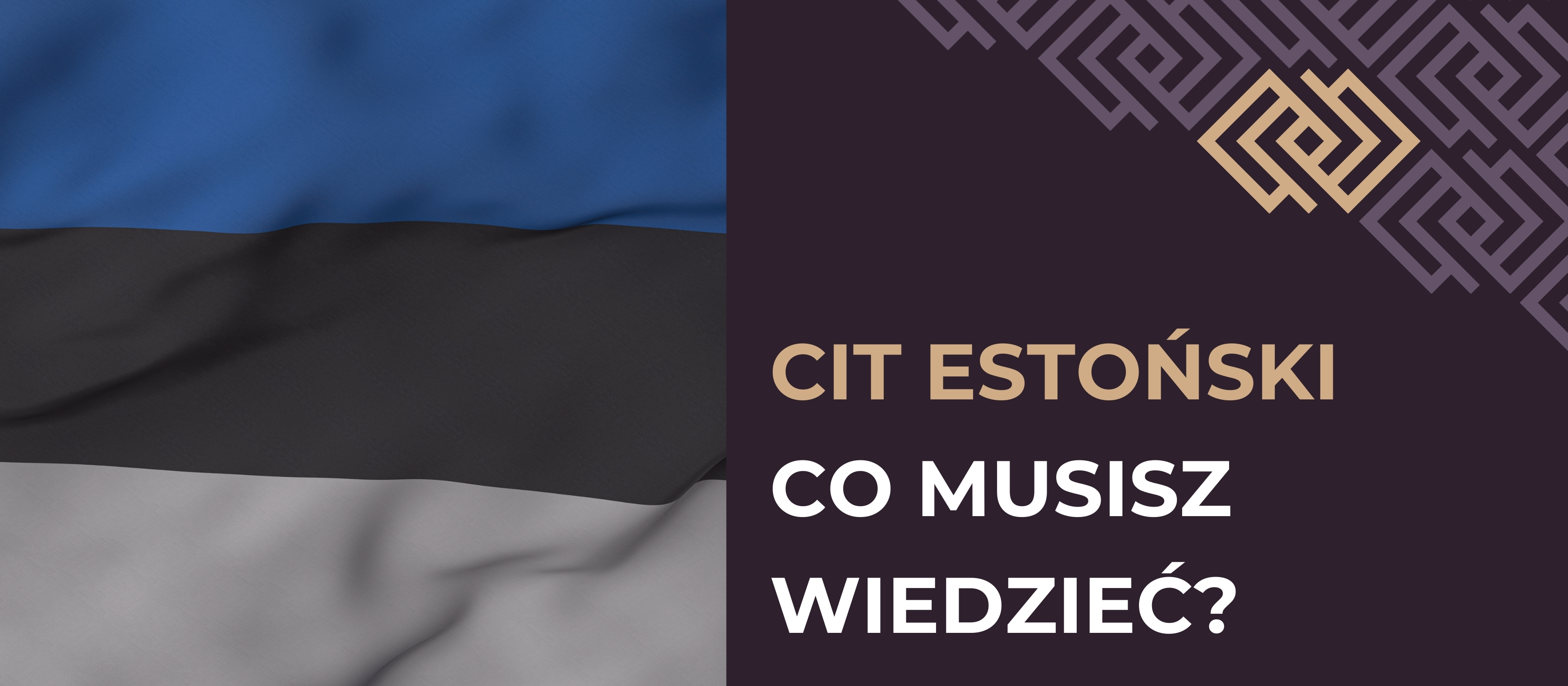 CIT Estoński - co musisz wiedzieć?