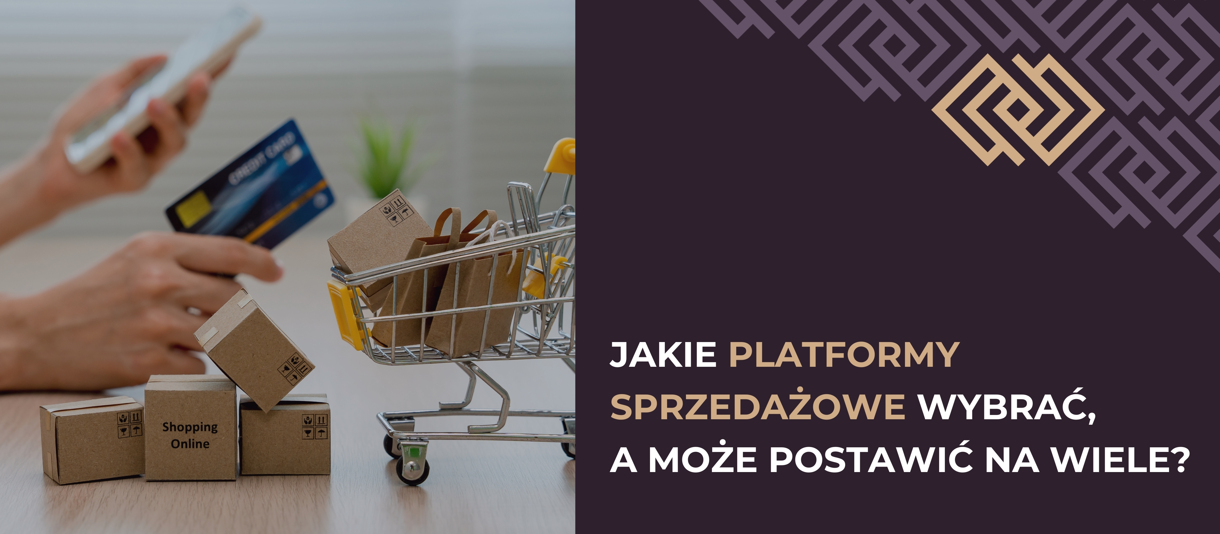 Jakie platformy sprzedażowe wybrać, a może postawić na wiele?
