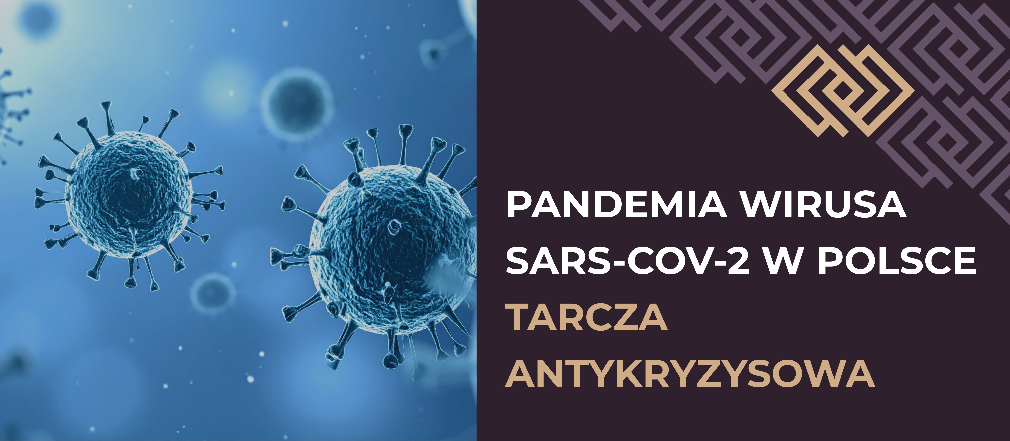 Pandemia wirusa SARS-Cov-2 w Polsce. Mali i młodzi przedsiębiorcy na skraju bankructwa. Tarcza Antykryzysowa. Co trzeba wiedzieć o planach ratowania gospodarki? Nie wiesz co robić? Profesjonalną pomoc otrzymasz od doradców Taxcoach.