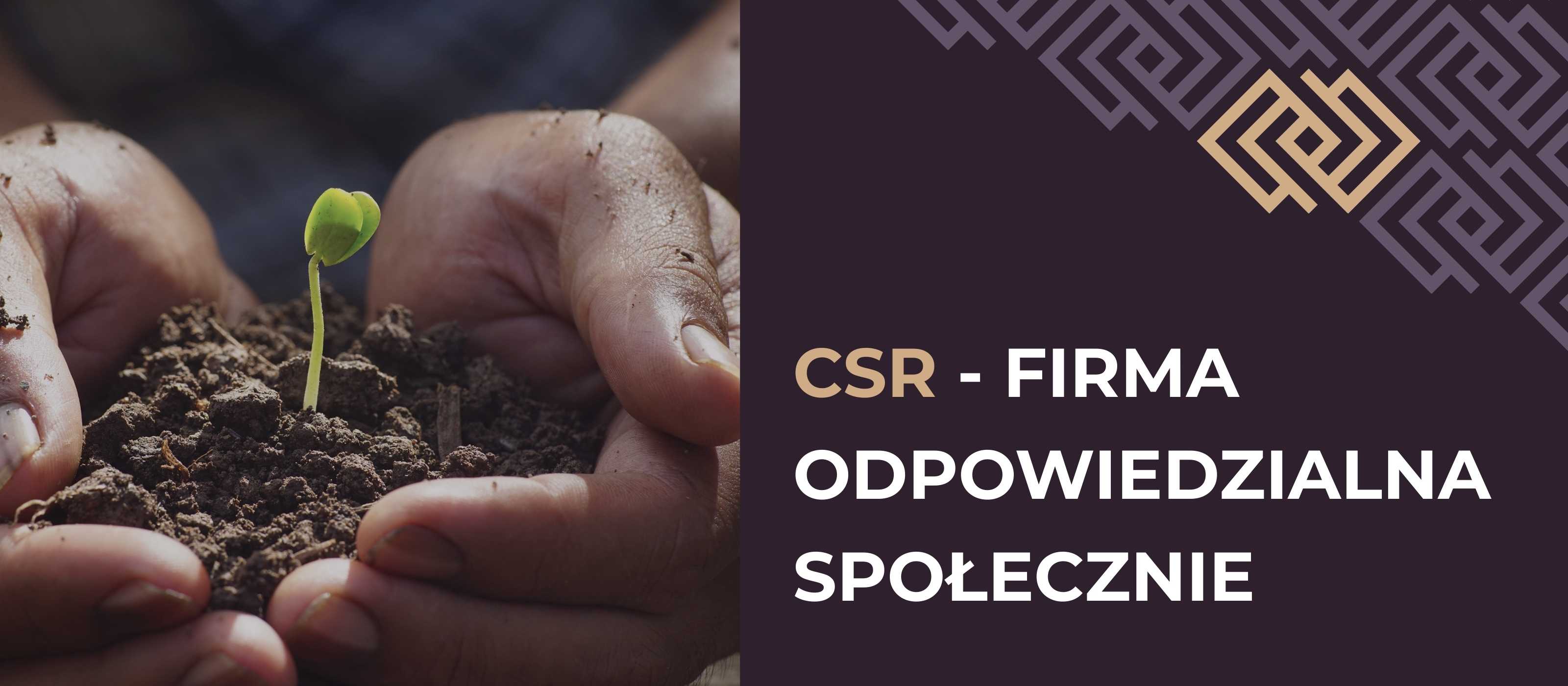 CSR - Firma odpowiedzialna społecznie