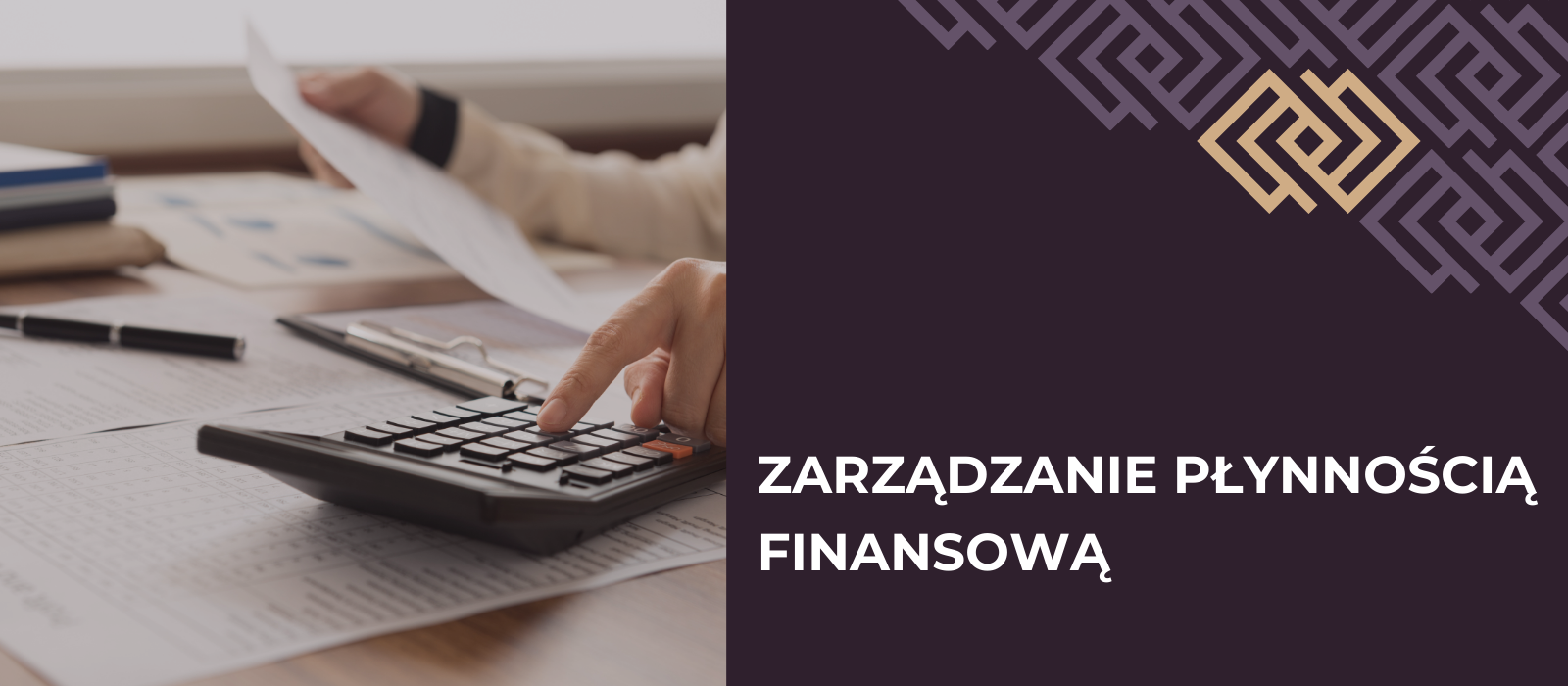 Zarządzanie płynnością finansową