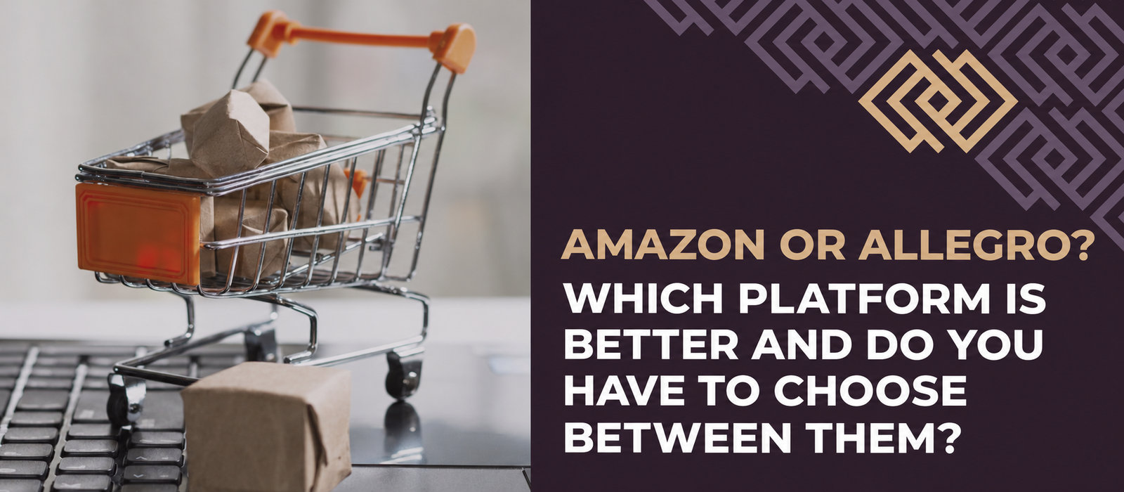 Amazon or Allegro? Which platform is better and must you choose between them?