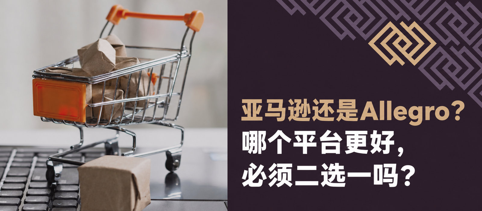 Amazon还是Allegro？哪个平台更好，必须二选一吗？