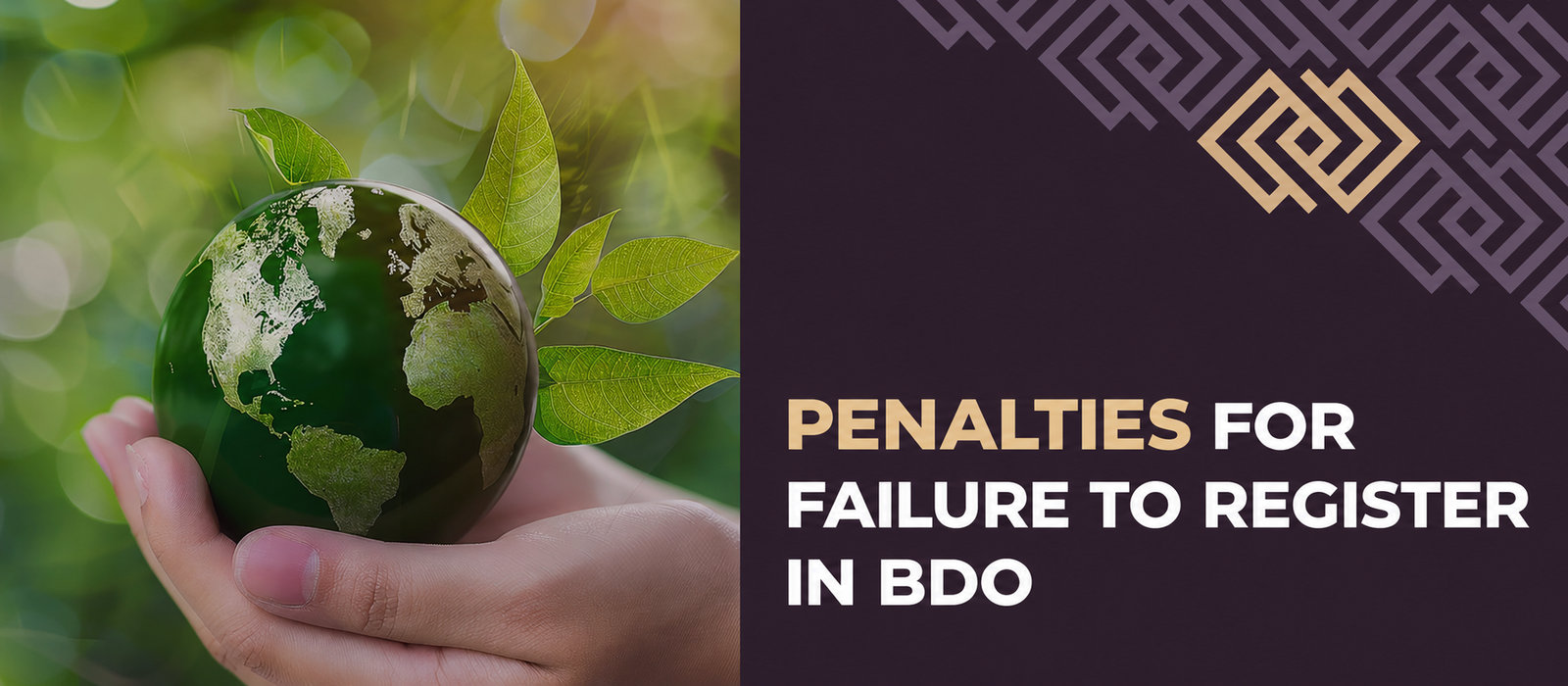 BDO register from 1 January 2020: who should register, how to register, and what fees and penalties apply?