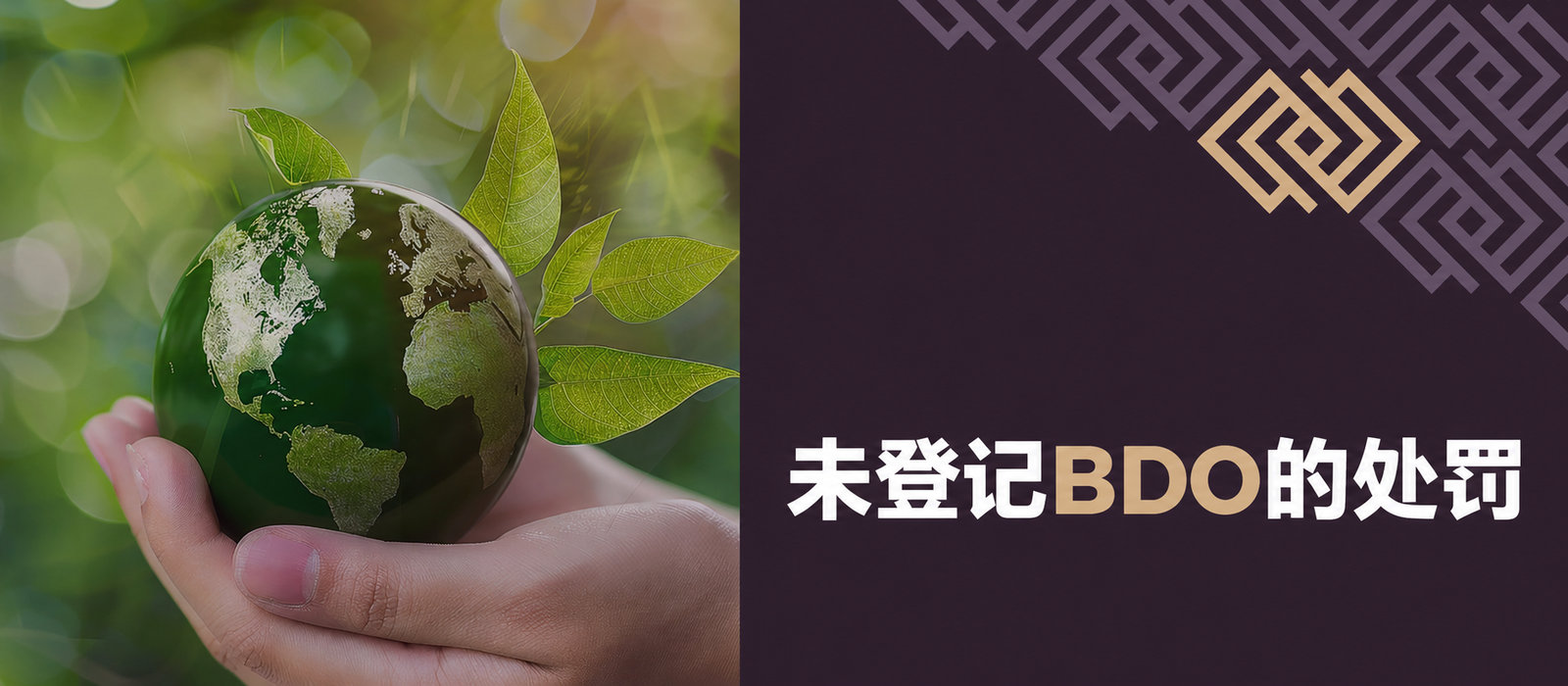 2020年1月1日起的BDO登记：谁应登记、如何登记、费用和处罚是什么？