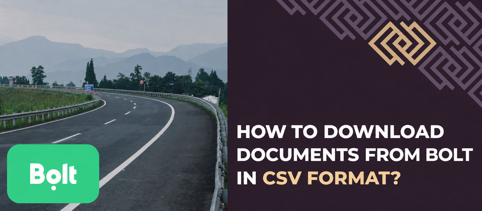 How to download BOLT documents as CSV files