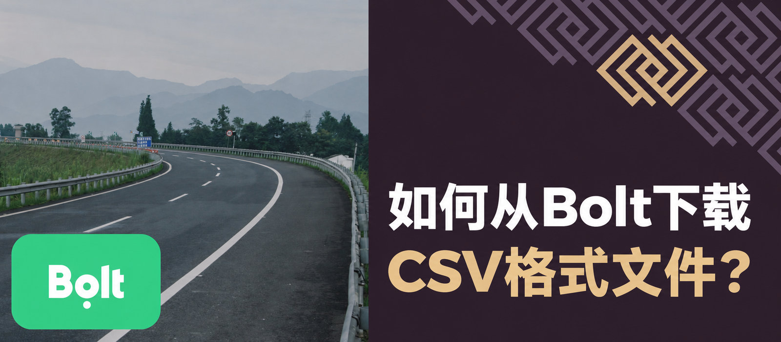 如何下载BOLT的CSV格式文件？