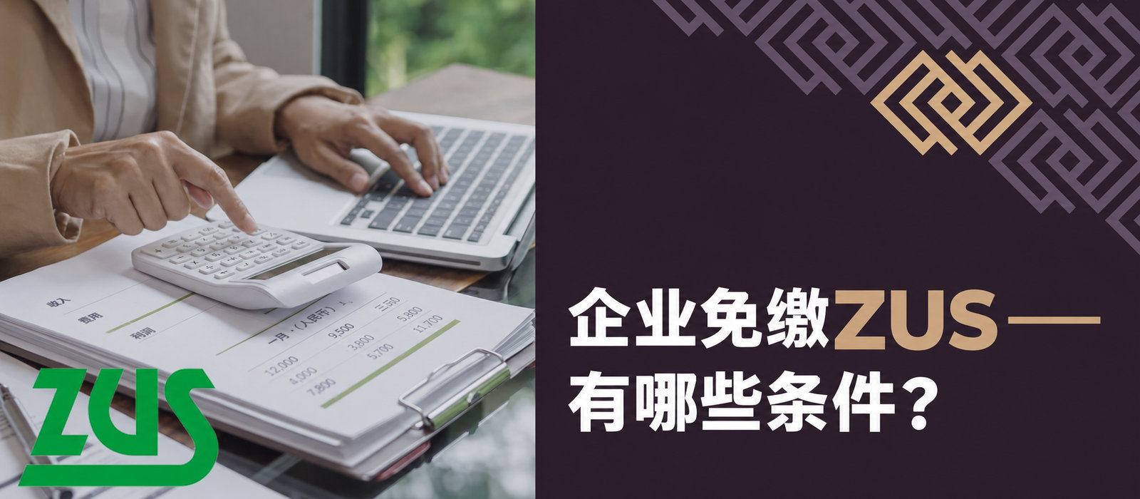 不缴ZUS的公司：须满足什么条件？