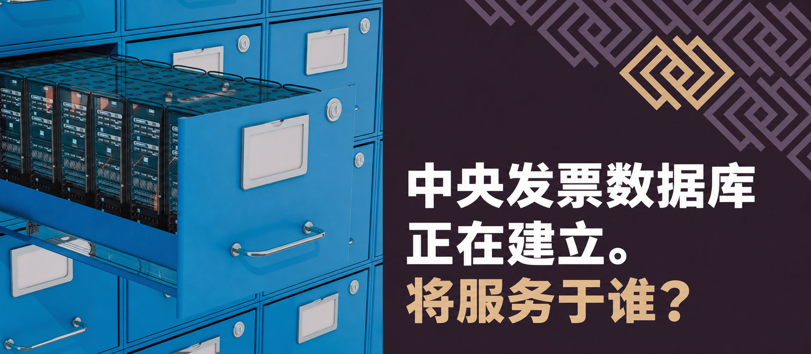 中央发票数据库正在建立。谁将从中受益？