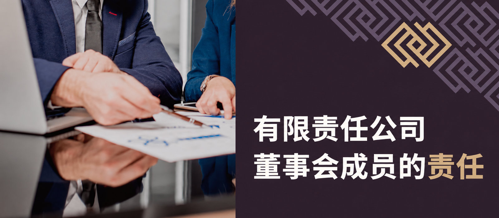 有限责任公司债务与董事会成员的责任