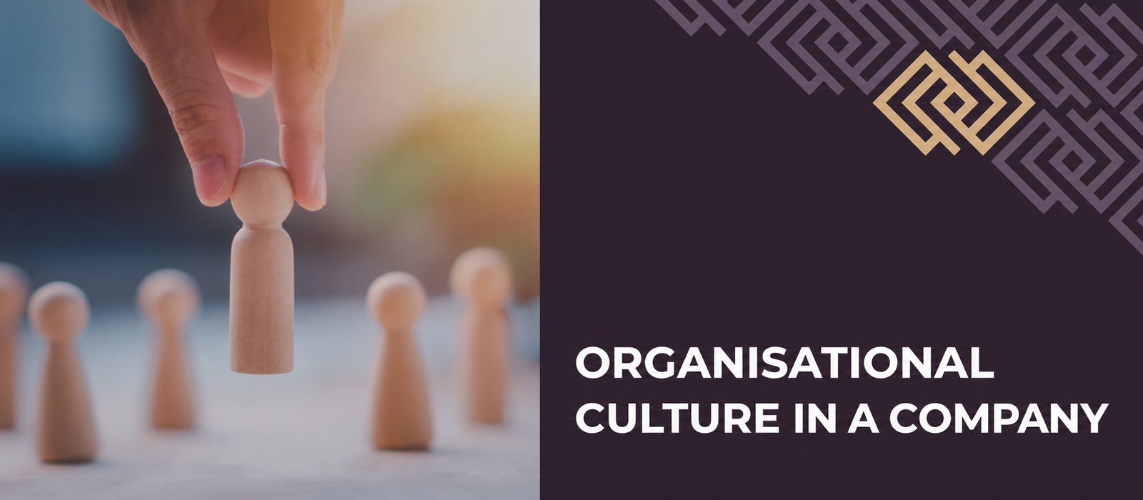 Organisational culture in a company