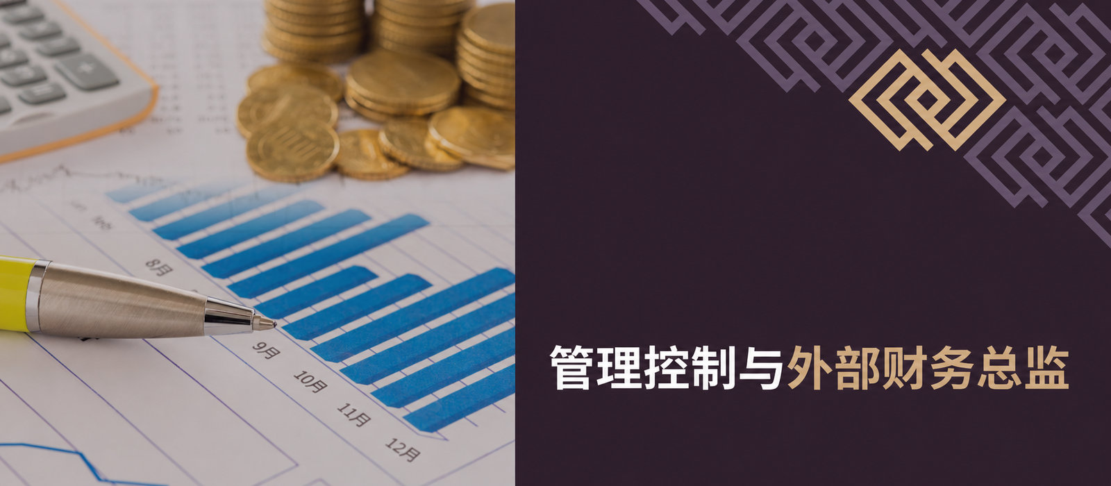 管理控制与外部财务总监