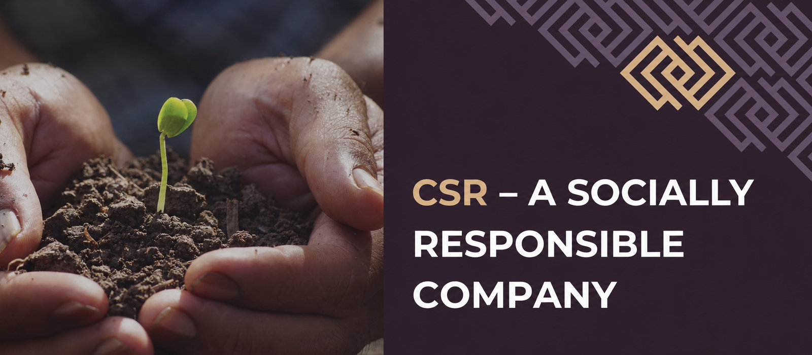 CSR – a socially responsible company