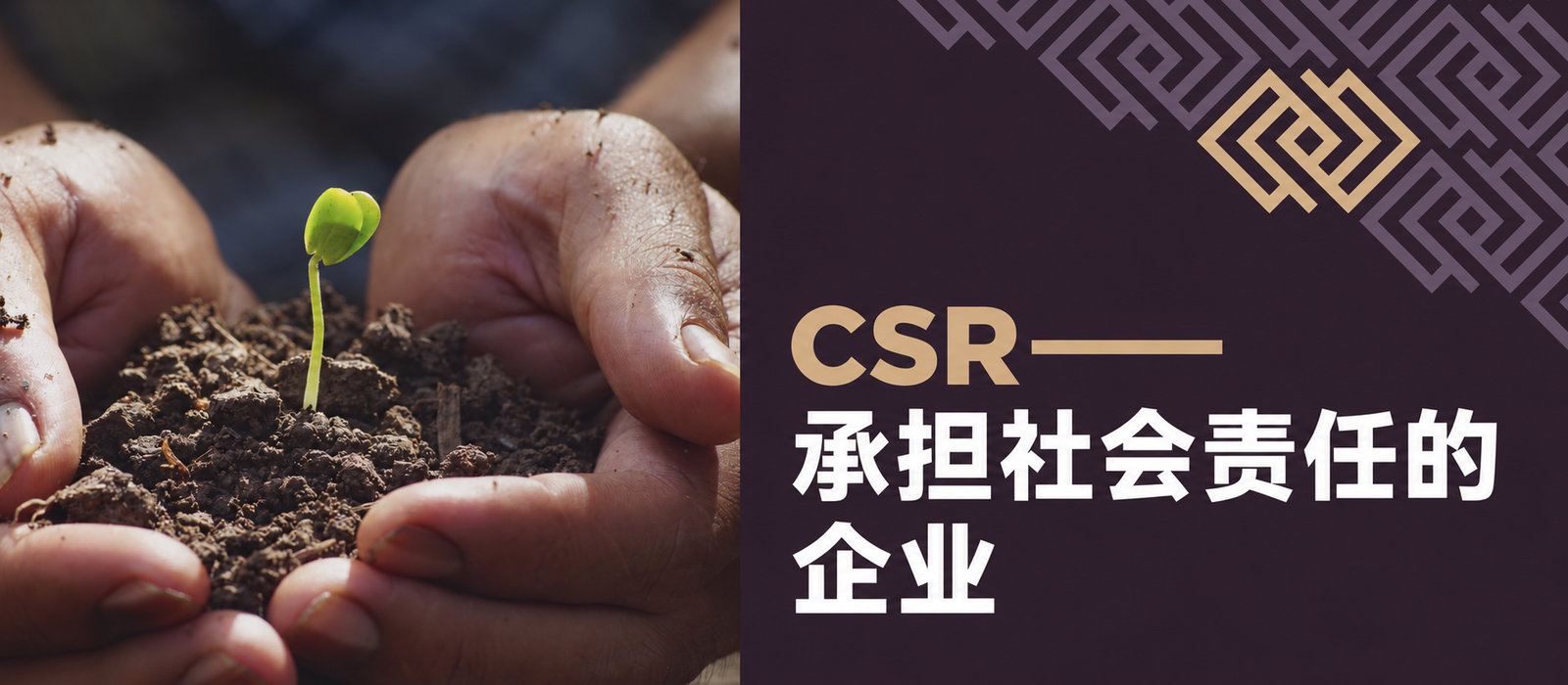 CSR——具有社会责任感的企业