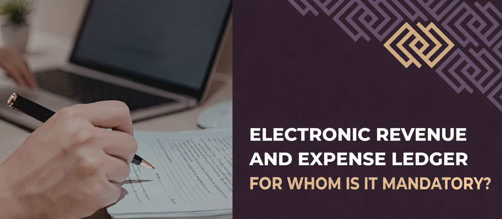 The electronic Tax Revenue and Expense Ledger – when and for whom is it compulsory?