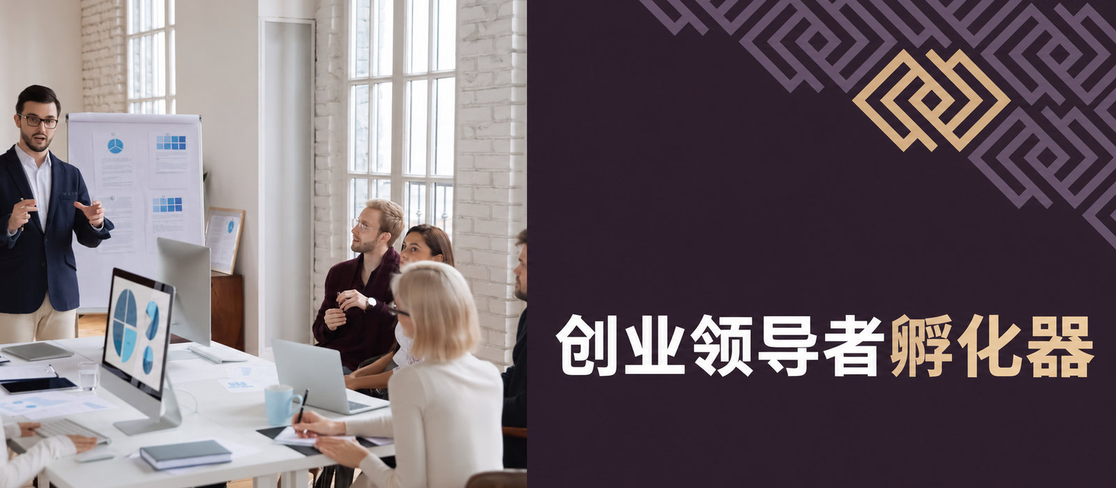 TaxCoach——创业领导者的孵化器