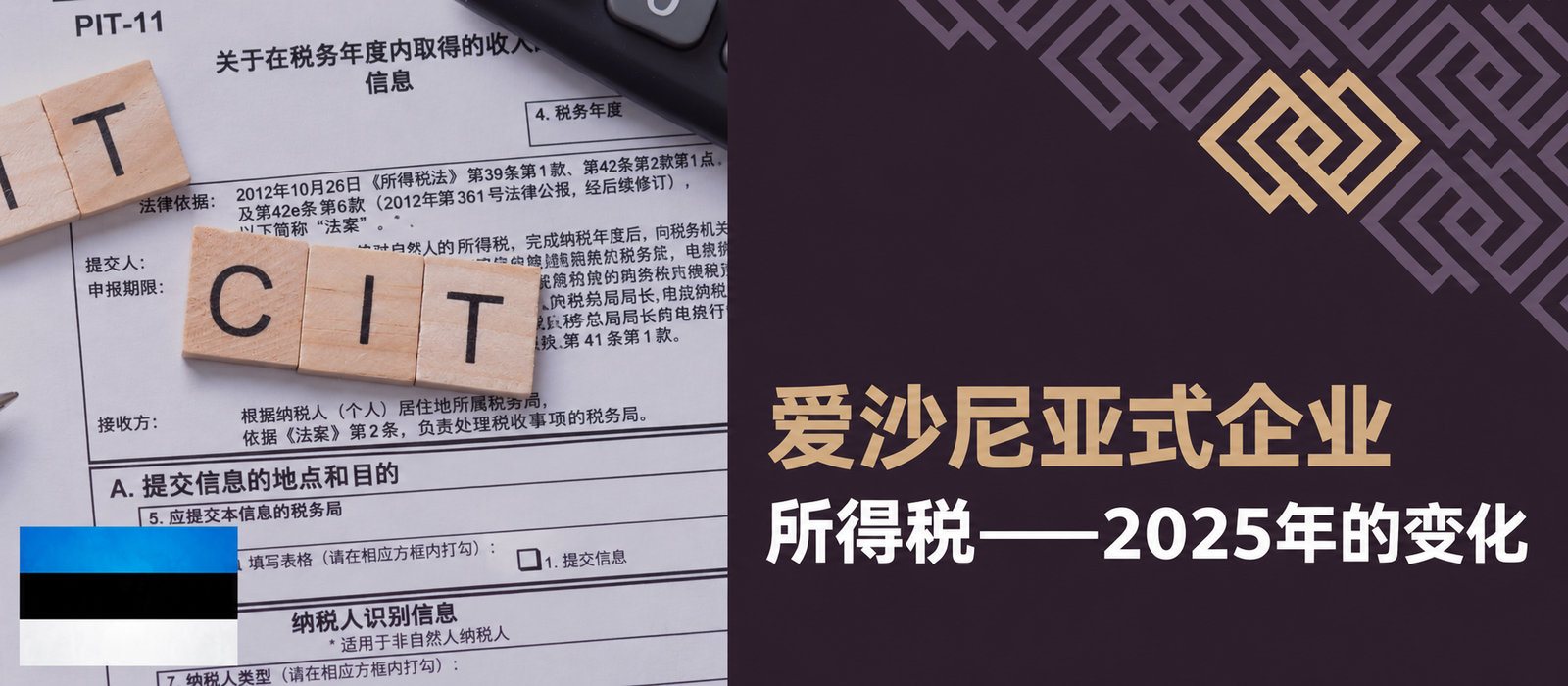 2025年爱沙尼亚式CIT：值得了解的一切