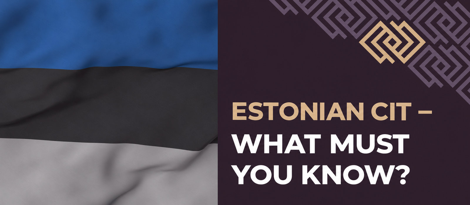 Estonian CIT – what do you need to know?
