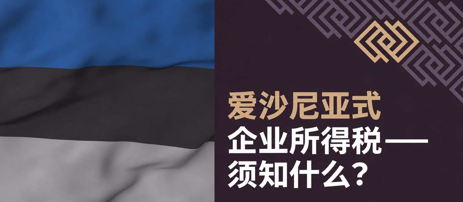 爱沙尼亚式企业所得税——你需要了解什么？