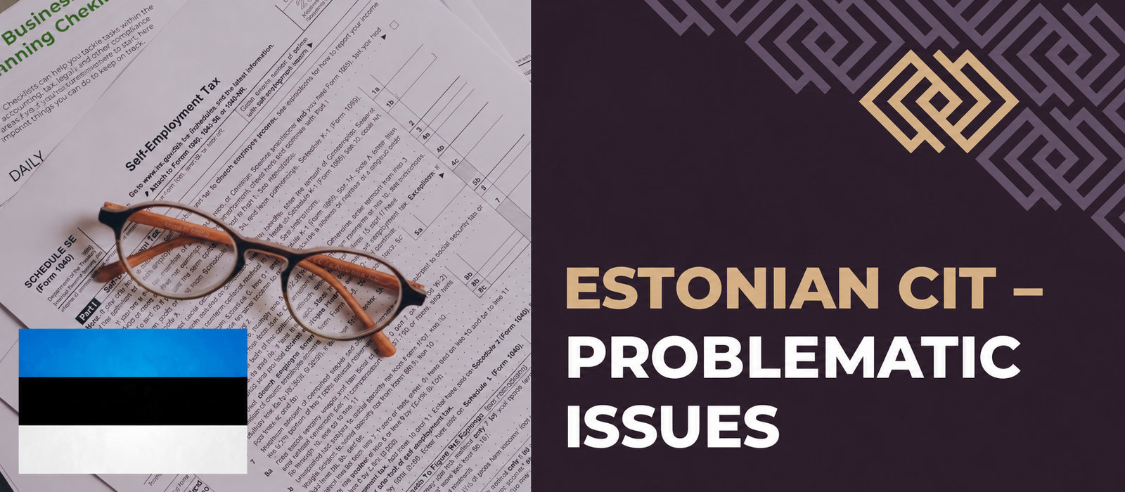 Estonian CIT – problematic issues