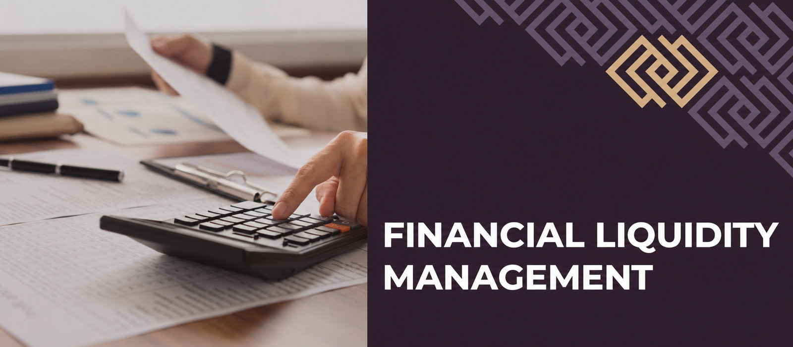 Financial liquidity management