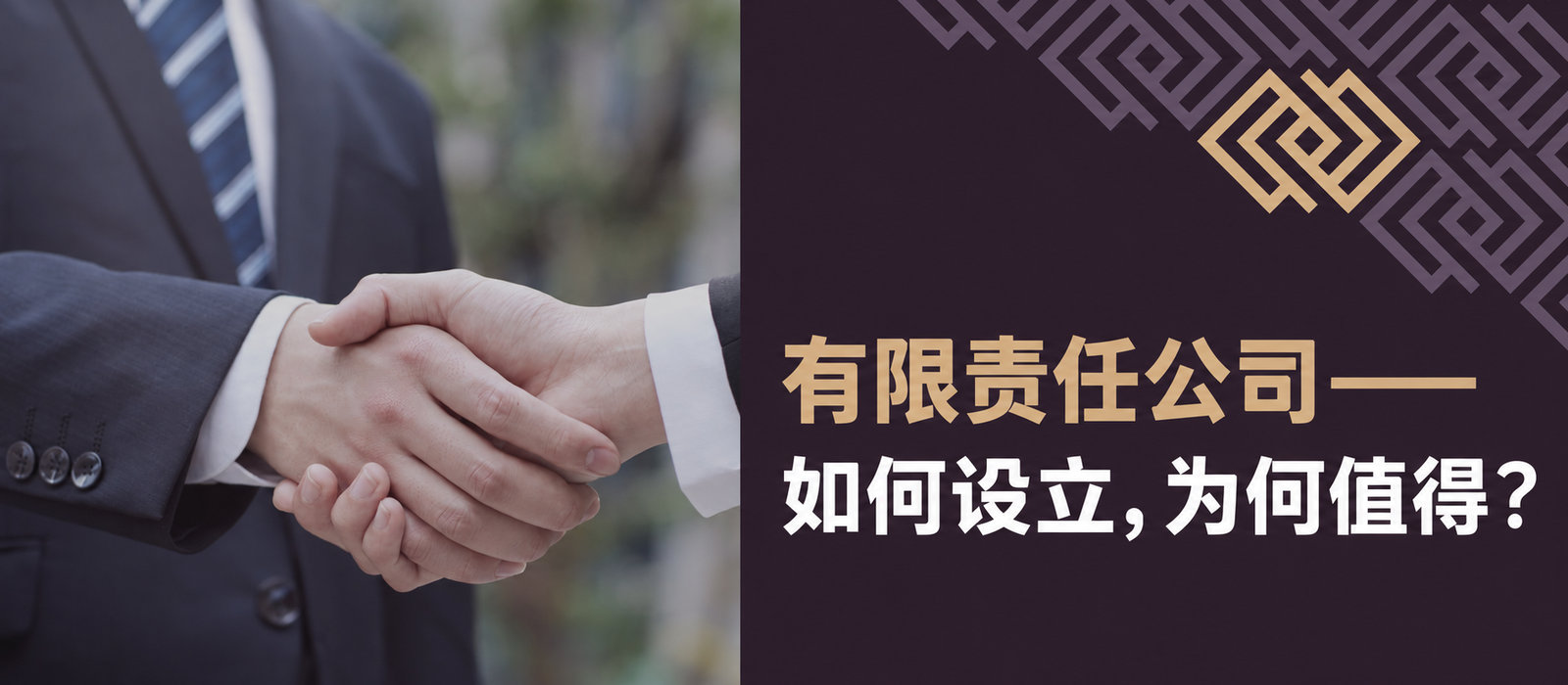有限责任公司——如何设立，为什么值得？
