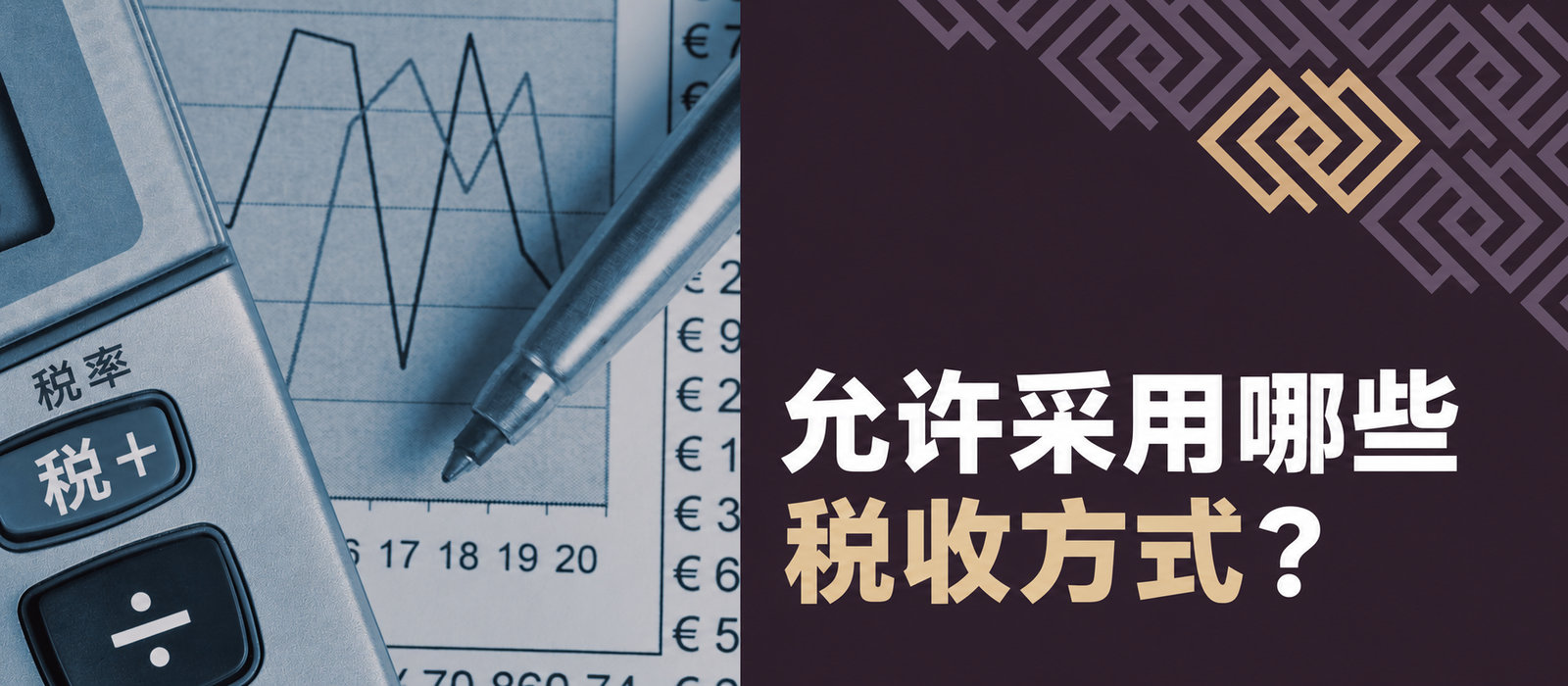 波兰法律允许哪些征税形式？