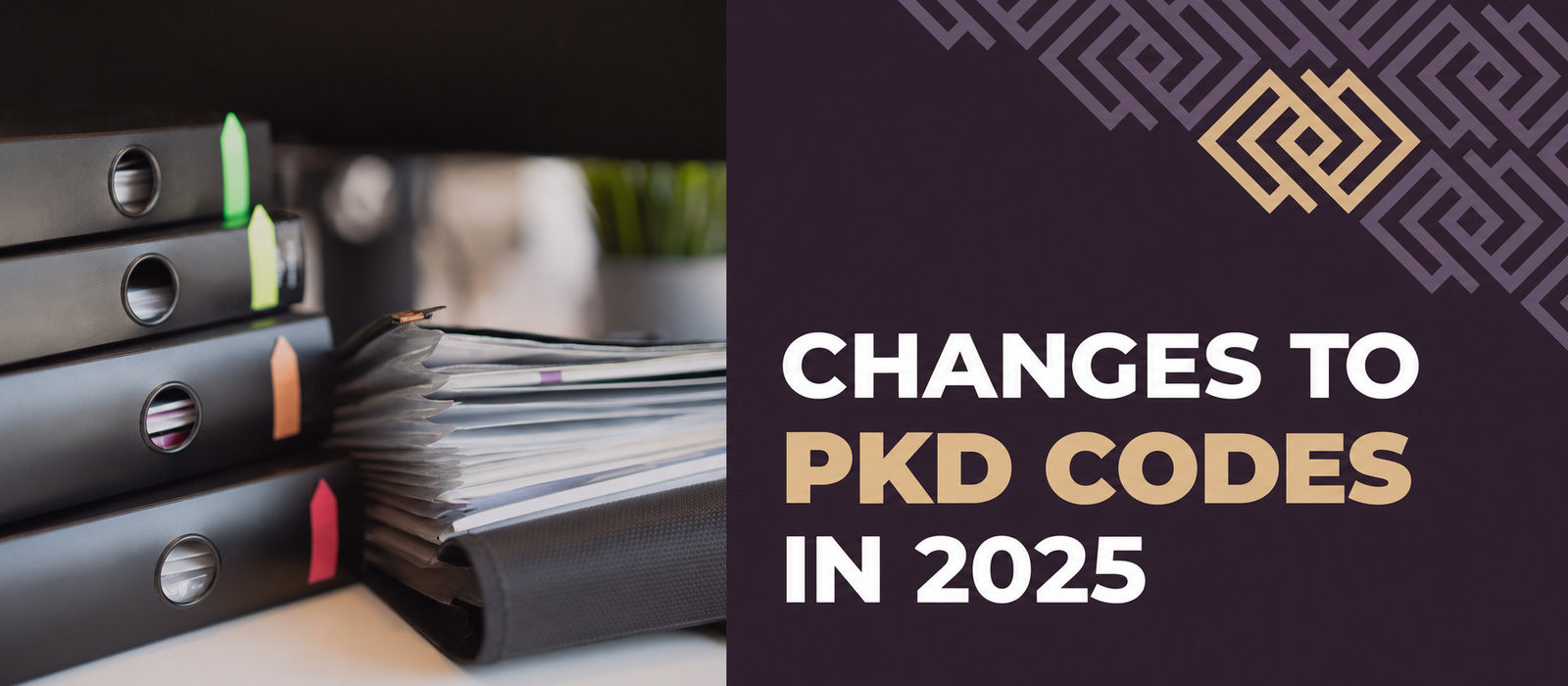PKD code changes in 2025: what to know and how to update them
