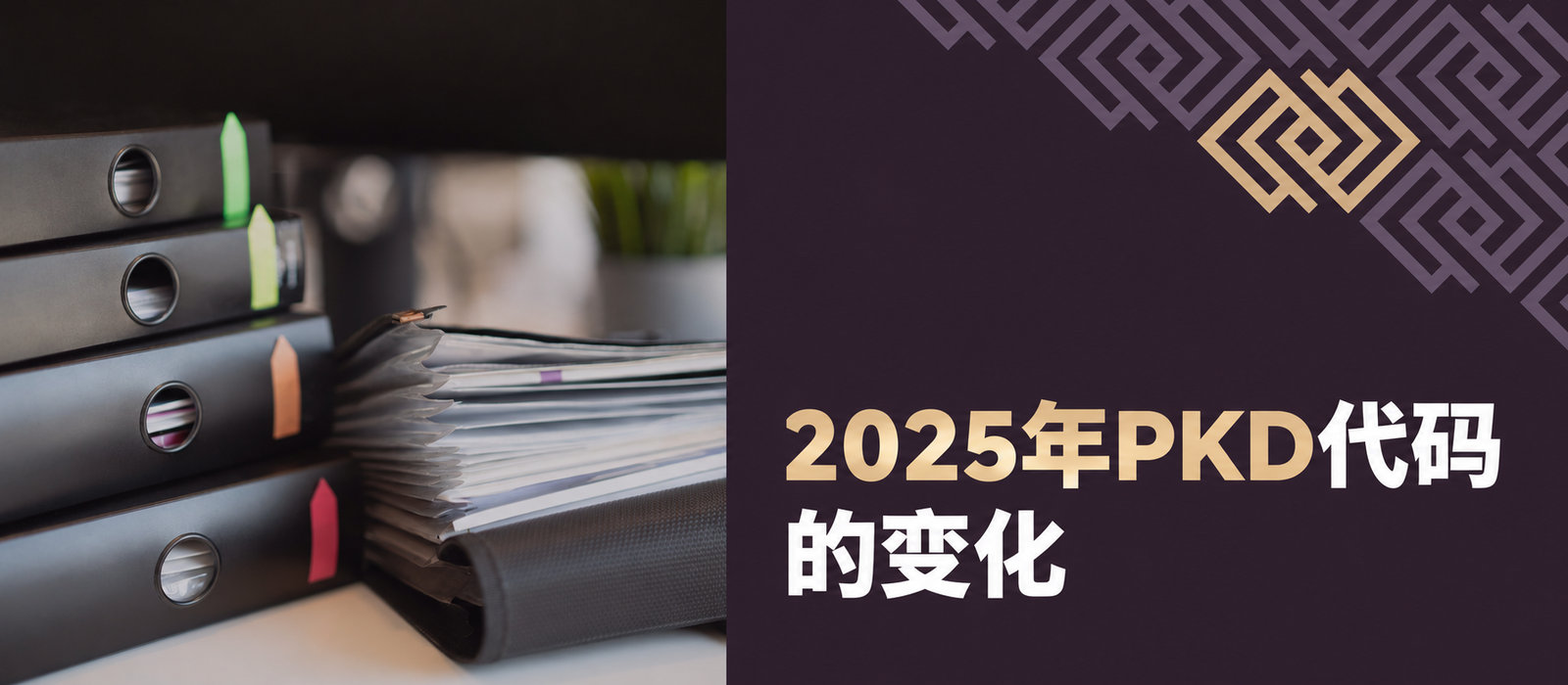 2025年PKD编码变化：须了解什么，如何更新？
