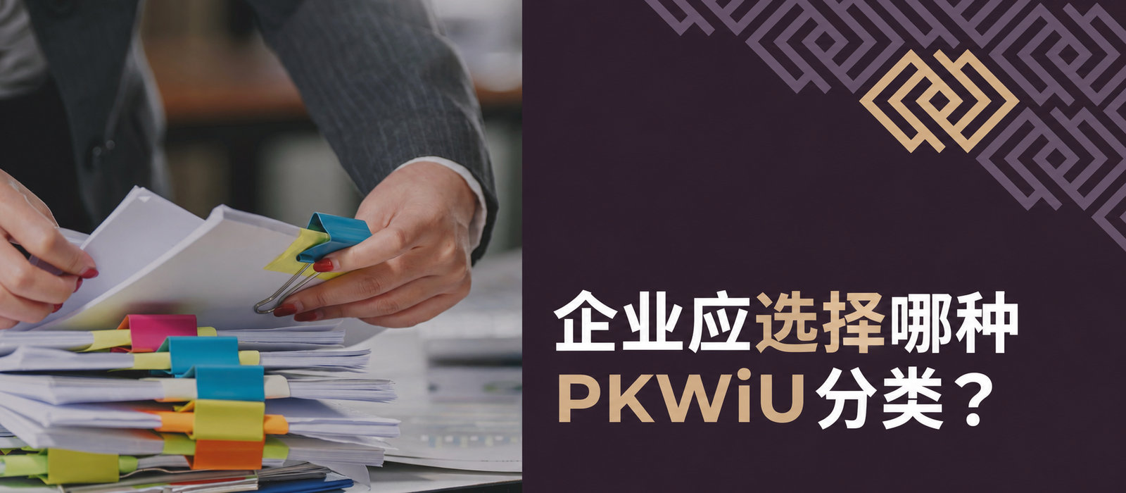如何为自己的企业选择PKWiU编码？