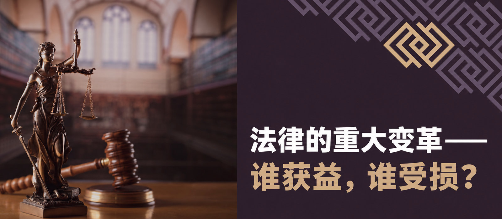 革命性的法律变化：谁受益，谁受损？