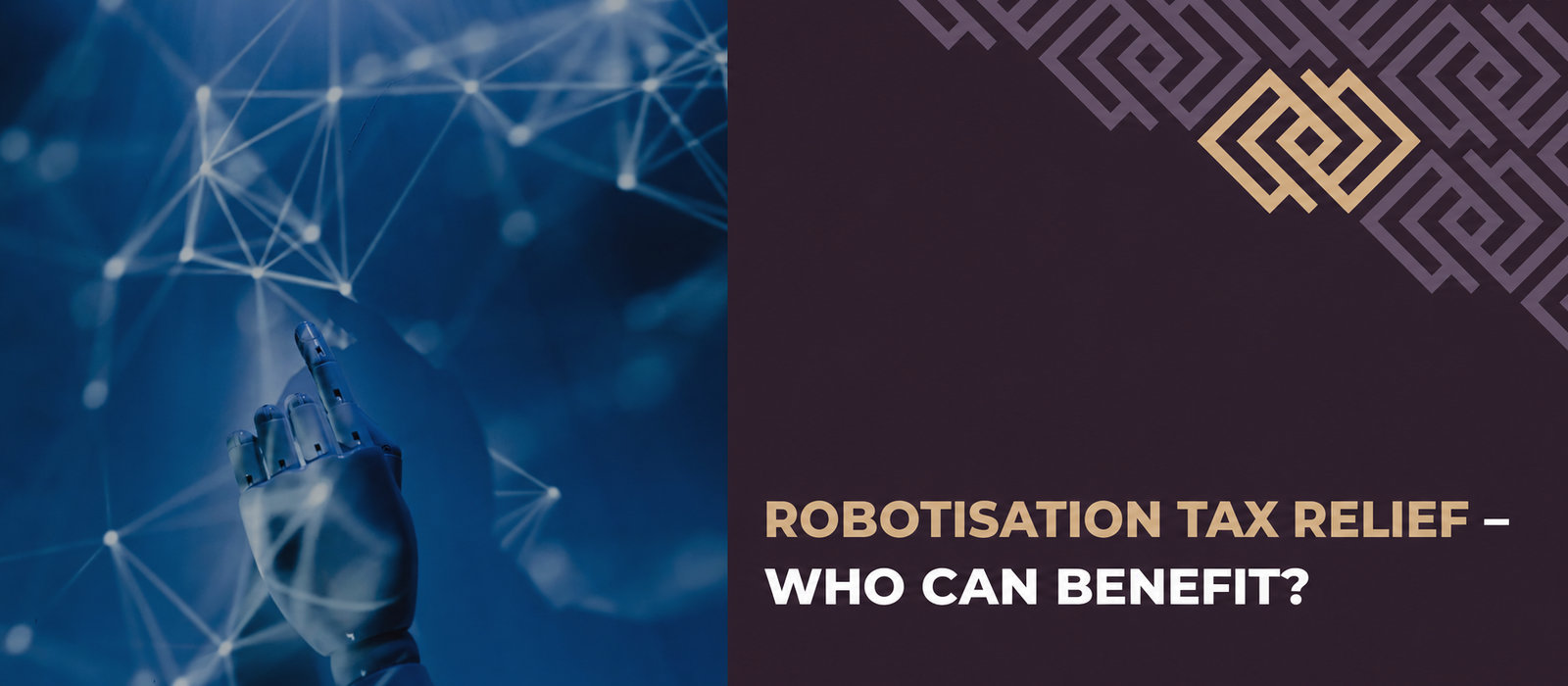 Robotisation relief: who can benefit?