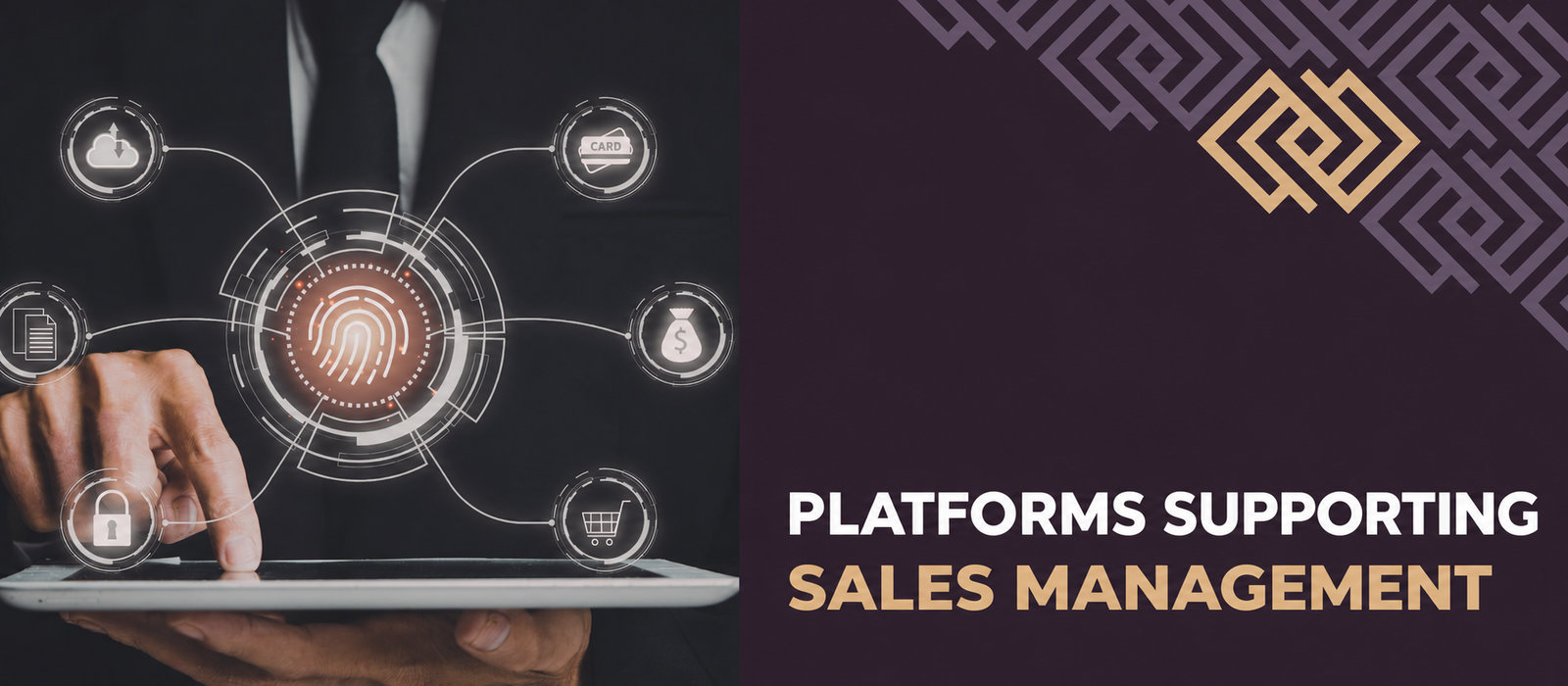 Platforms that support sales management