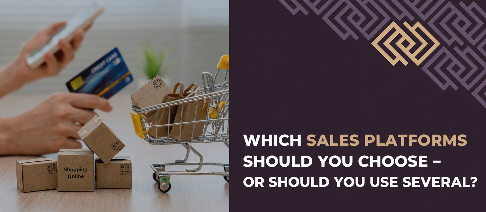 Which sales platforms should you choose, or should you use several?