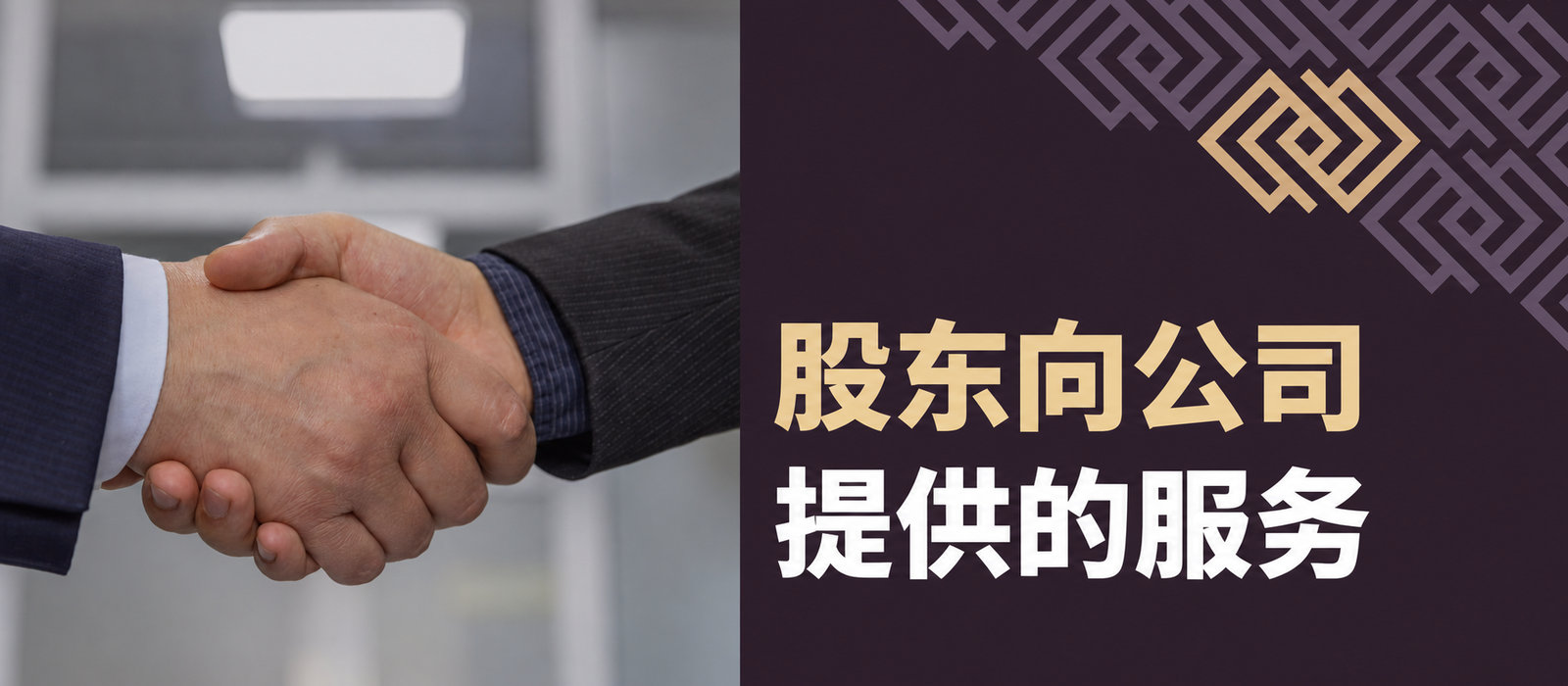 股东向公司提供的给付