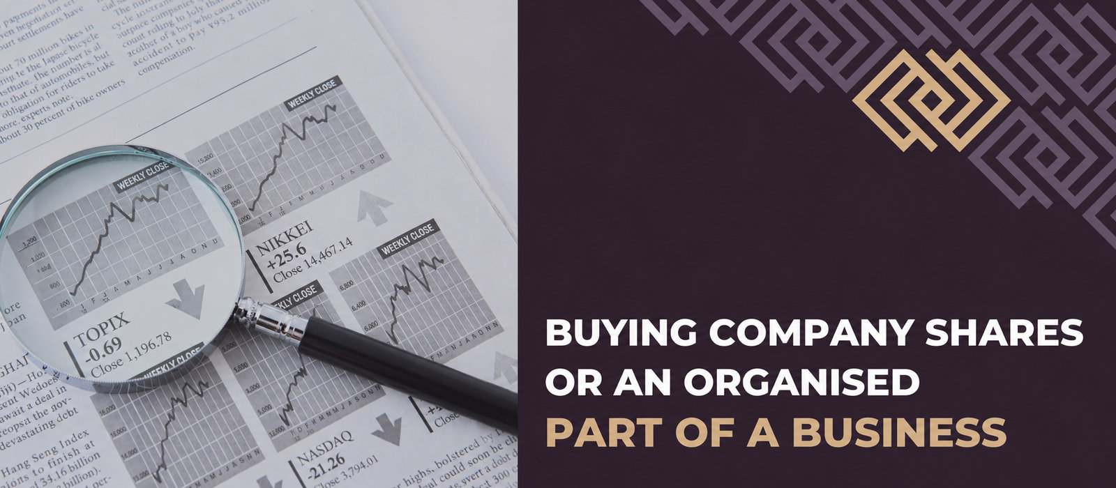 Buying company shares or an organised part of an enterprise (ZCP): which is more advantageous?