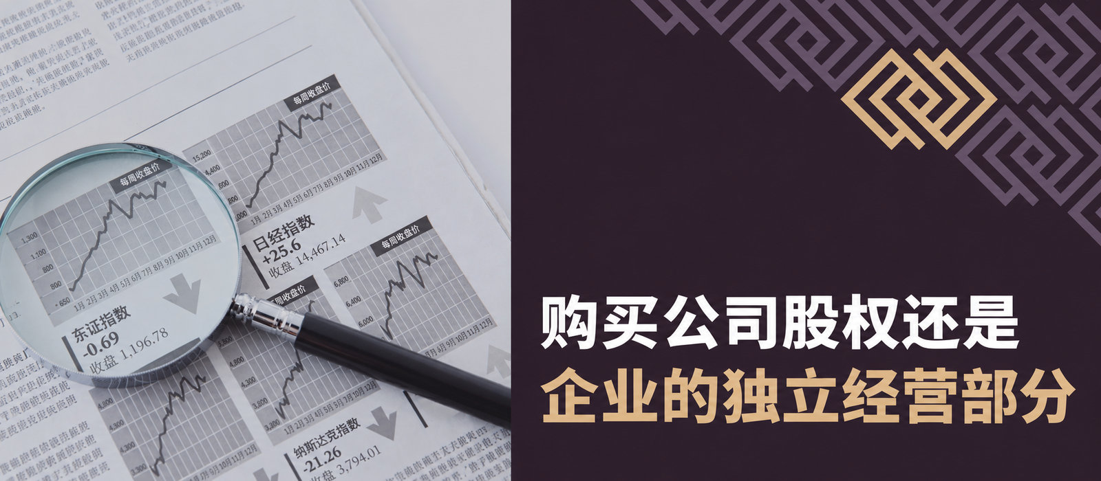 购买公司股份还是有组织的企业组成部分（ZCP）：哪种更有利？