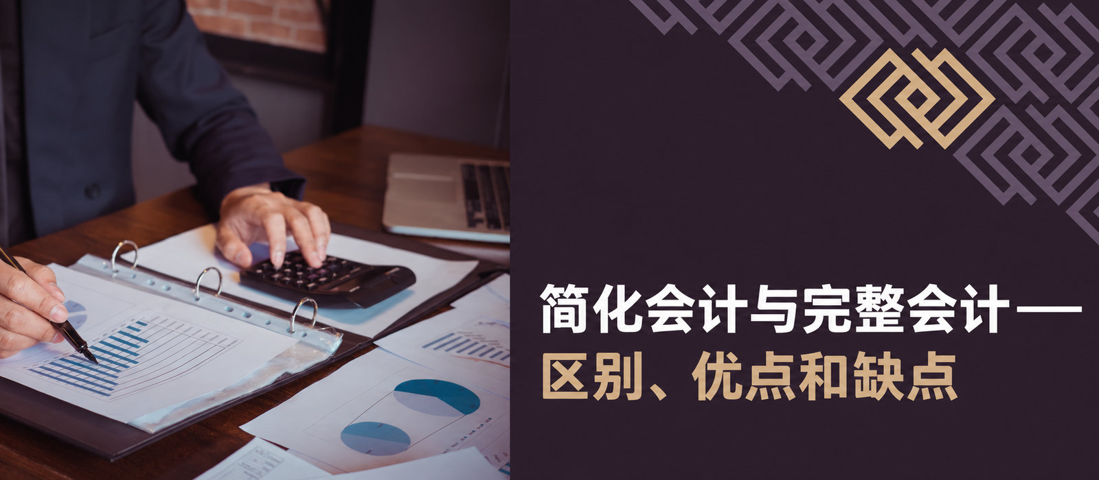 简化会计与完整会计：区别、优缺点