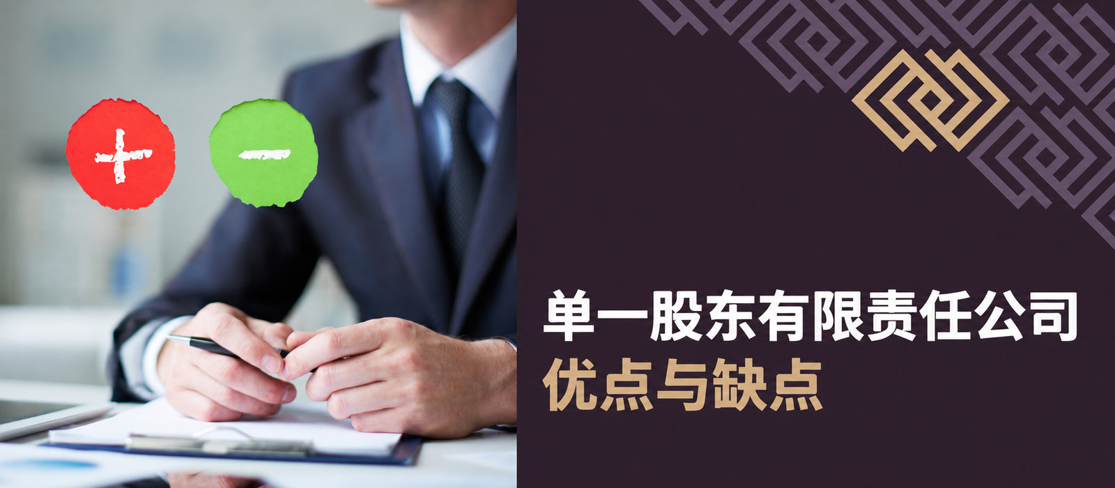 单一股东有限责任公司——优点与缺点