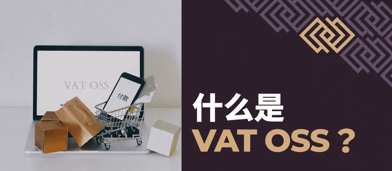 什么是VAT OSS？
