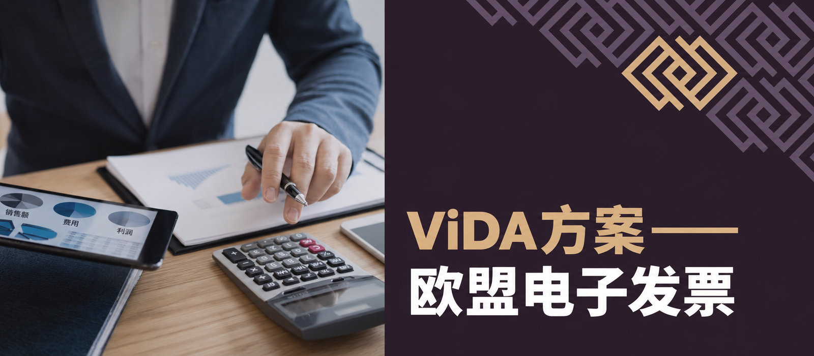 ViDA方案——欧盟电子发票