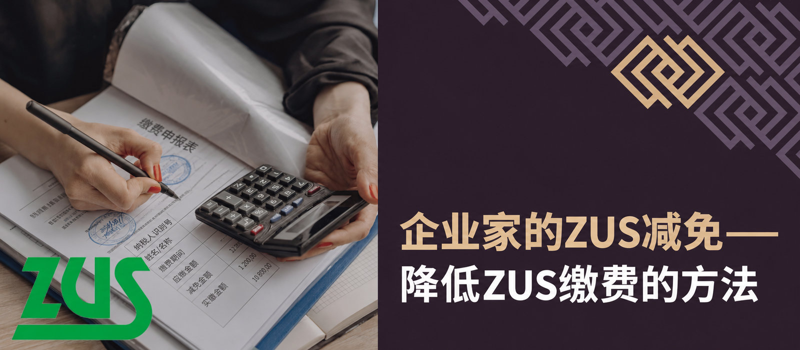 企业的ZUS减免：降低社会保险缴费的方法